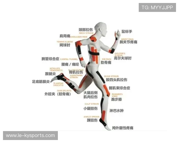 游泳队推进运动康复与预防伤病一体化体系,游泳修复运动损伤 游泳队推进运动康复与预防伤病一体化体系,游泳修复运动损伤